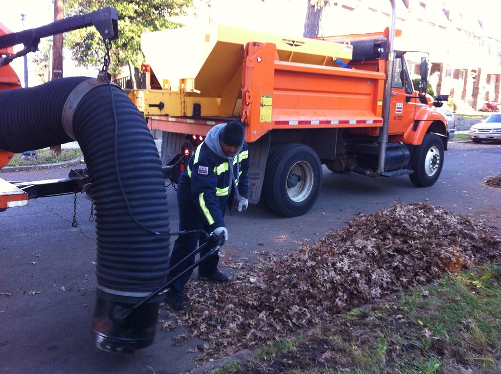 Cleaning Up Fall